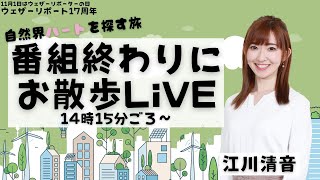 【ウェザーリポーターの日】番組終わりにお散歩LiVE(11月1日 14時15分ごろ〜)