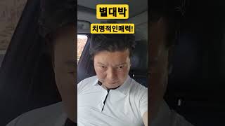 별대박의 치명적인 매력!! 예시장사수!! 복병마 환수!! 토요경마도 업계1위 별대박은 현장예시장에서 고환수를 갖겠습니다!!