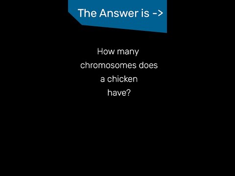 How many chromosomes does a chicken have?