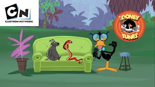 New Looney Tunes | TheJungle Show |#cartoonnetwork #looneytunes #looneytunesworldofmayhem #animation