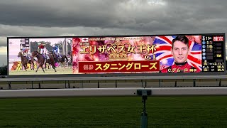 エリザベス女王杯 2024 スタニングローズ C・デムーロ騎手