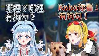 Kobo你看 這裡有一隻可愛的狗勾~【Hololive中文 | Kaela Kovalskia | Kobo Kanaeru】