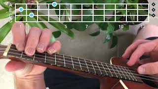 burbank - sorry i like you // ukulele tutorial