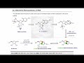 introduction to prebiotic chemistry nucleic acid synthesis with dr. benji thoma