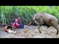 Full video-100 Days in the Life of a Single Mom: What Happens When a Buffalo Attacks a Single Mom