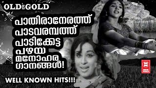 ഗ്രാമീണതയുടെ നിശബ്ദതയും റേഡിയോയിൽ നിന്ന് പാടികേട്ട പഴയ സൂപ്പർഹിറ്റ് ഗാനങ്ങൾ | OLD IS GOLD