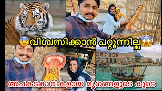 🤐dubai കാട്ടിൽ ഇങ്ങനെയൊരു രഹസ്യം ഒളിഞ്ഞിരിക്കുന്നത് അറിഞ്ഞില്ല😱|| dangerous animal  in dubai