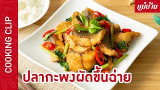 ปลากะพงผัดขึ้นฉ่าย | ใครชอบเมนูปลามาจดสูตรด่วน ทำไม่ยากแต่เคล็ดลับอาจจะเยอะหน่อย : Maeban