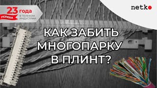 Как забить многопарную витую пару в плинт? Как снять плинт с рамы?