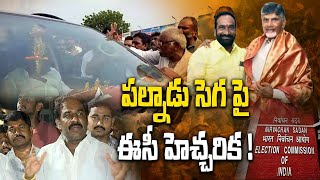 Analysis On Situation In Palnadu పల్నాడు సెగ పై EC హెచ్చరిక |  AP Elections 2024 | Oneindia Telugu