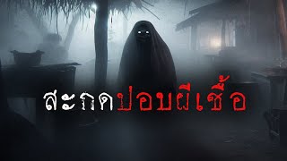 สะกดปอบผีเชื้อ ( ตอนใหม่ / จบในตอน )  | ล้อมวง เล่าเรื่องผี Ep.1338