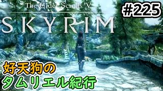 【SKYRIM】好天狗のタムリエル紀行  時の車輪【#225】