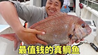 大鋒子攜帶林大師出海釣魚，突然上鉤10斤真鯛魚，大戰三百回合將其拿下#釣魚#海釣#趕海#真鯛魚