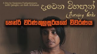 Niwahal TV | close up -01  | Burning bird's | දැවෙන විහඟුන්