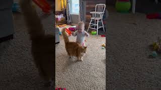 Adorable Fluffy Cat Helps Baby Take First Steps!!