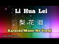 Li Hua Lei 梨花泪 karaoke no vocal