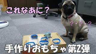 【pug】パグとあり合わせ手作りおもちゃで遊ぼう　第2弾　handmade toys