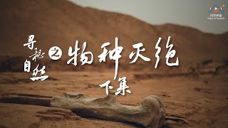 第六次物种大灭绝已经开启，你我正身处其中。We're in the midst of a sixth, human-caused extinction.寻秘自然05： 物种灭绝（下 ）