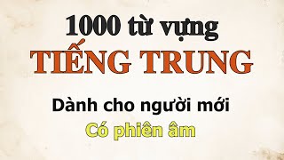 1000 Từ Vựng Tiếng Trung Cơ Bản Nhất – Dành cho người mới, có phiên âm tiếng Việt
