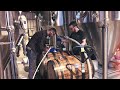 Barrel-Aging With Trustworthy Brewing Co