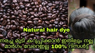 Home Made Natural Hair Dye/ നരച്ച മുടി പൂർണമായും കറുക്കാൻ ഇതുകൂടി ചേർത്ത് മിക്സ്‌ ചെയ്യൂ 100%Result