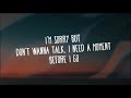 Alan walker lyrics song I'm on my way