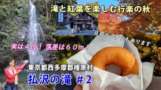 極彩色 Saiko’s Vlog －払沢の滝 in 檜原村 #２－hossawa no taki in hinohara village －