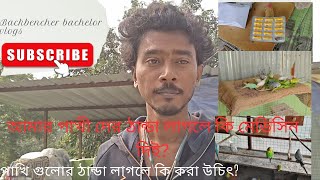 পাখিদের ঠান্ডা লাগলে আমি ভাবে তাদের ঠিক করি এবং কী medicine দিই?watch full video