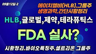 에이치엘비그룹-생명과학-셀트리온그룹,HLB-FDA-항암제와 관련한 실사,문제제기 없는듯,작은 변화들과 거래량,박스권