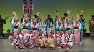 2016 南越谷阿波踊り　阿波踊り飛舞枝　ホール　舞台踊り