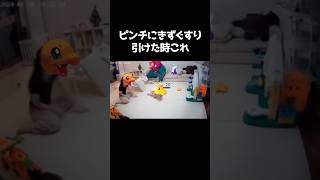 ピンチにきずぐすり引けた時これ #ポケポケ #ポケモン #ポケカ