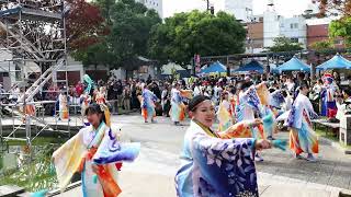 2024年 四日市よさこい祭り 夢源風人 「Soleil」 諏訪公園メイン会場