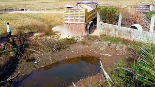 Wonderful New Project!! Bulldozer D20A Pushing Soil Filling Flooded Garbage Pond \u0026  5ton truck.