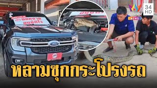 เซลส์สาวกรี๊ดลั่น! ไลฟ์สดขายรถ เจองูหลามซุกฝากระโปรง | ข่าวอรุณอมรินทร์ | 1/2/68