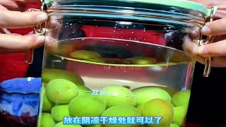 回春酒之青梅酒的制作方法