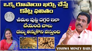 అత్యవసరంగా ధనాన్ని- ఆకర్షించాలంటే..| Vishwa Money Babu | 5X55 Law of Attraction Technique In Telugu