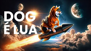 DOG-GO-TO-THE-MOON (DOG) - FOI LISTADA NA KRAKEN E PODE SUBIR MUITO - 5.000% (50x)