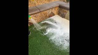 TurFlush Service |. Deep cleaning removal of urine and fecal matter from artificial grass.