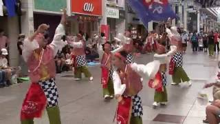 高知よさこい祭り2016　本祭二日目　丸亀ごんな連　帯屋町演舞