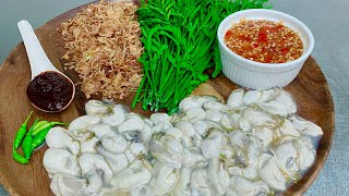 អយស្ទ័រ CKECK អ៊ូហូOysters 🦪 🦪  🦪