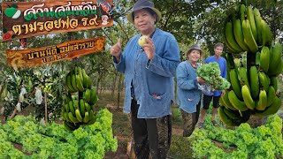 พื้นที่ 30  ไร่เปลี่ยนจากทำนา   มาทำเกษตรผสมผสาน  แตกต่างอย่างไร