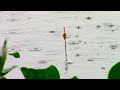 Fishing for Giant Tilapia on the Gia River on a Stormy Day