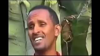 ስማሽ ማኒ ደልታ ስልጥኛ ሙዚቃ // smuash mani delta siltigna music