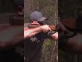 this massive four bore rifle destroys steel target