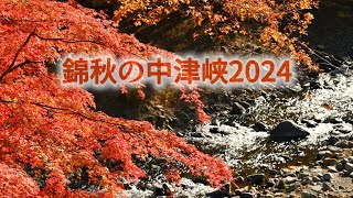 錦秋の中津峡2024。埼玉県秩父市中津川。Nakatsu Gorge in Autumn撮影日2024.11.19