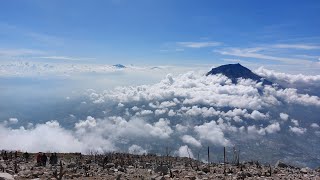 Recap perjalanan mendaki Gunung Sindoro via Kledung