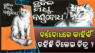 କାହିଁକି ଛବିଳ ମଧୁ ବର୍ଣ୍ଣବୋଧରେ ରହିଛି ବିଲେଇ ଚିତ୍ର