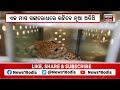 cheetah in india ଦକ୍ଷିଣ ଆଫ୍ରିକାରୁ ଆସୁଛନ୍ତି ଆଉ ୧୨ ଚିତା ବାଘ south africa odia news