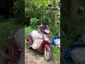 കൃഷിക്കുള്ള വളം |#farming |#agriculture |#kerala |#villagelife |#shorts |#viralvideo