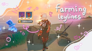 ✨ Leyline farming : Upgarding my account🌸